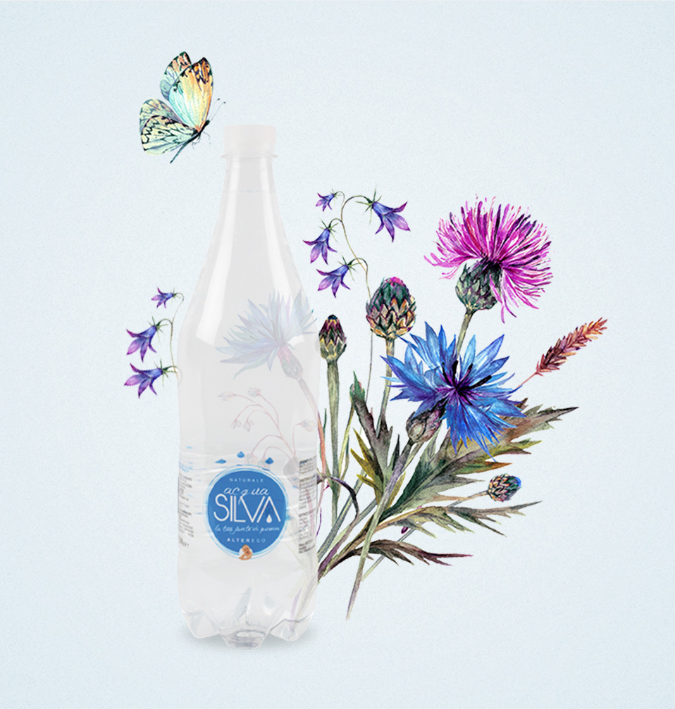 Acqua Silva website